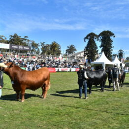 Expo Prado 2020 - Dia 8 (37)