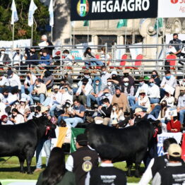 Expo Prado 2020 - Dia 8 (69)