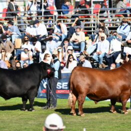 Expo Prado 2020 - Dia 8 (71)