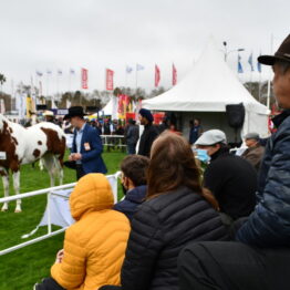 Dia 1 - Expo Prado 2021 (108)