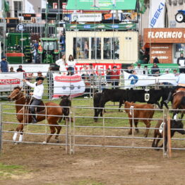 Dia 10 - Expo Prado 2021 (1)