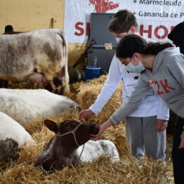 Dia 10 - Expo Prado 2021 (71)