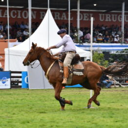 Dia 10 - Expo Prado 2021 (79)