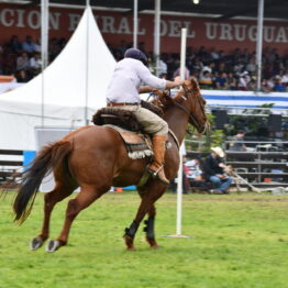 Dia 10 - Expo Prado 2021 (80)