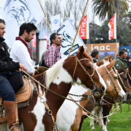 Dia 2 - Expo Prado 2021 (237)