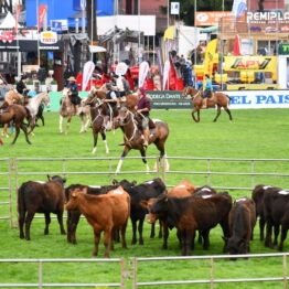 Dia 2 - Expo Prado 2021 (57)