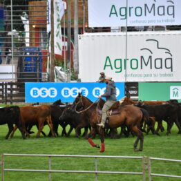 Dia 2 - Expo Prado 2021 (58)