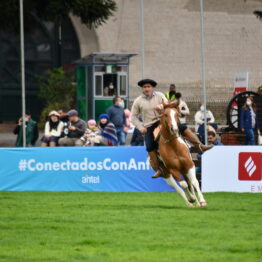 Dia 2 - Expo Prado 2021 (90)