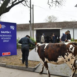 Dia 4 - Expo Prado 2021 (47)