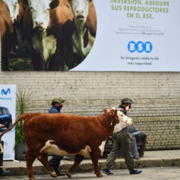 Dia 4 - Expo Prado 2021 (58)