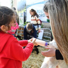 Dia 5 - Expo Prado 2021 (105)