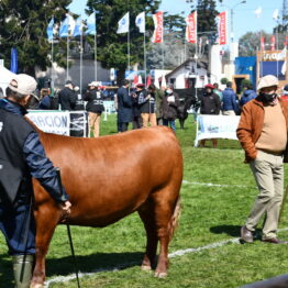 Dia 5 - Expo Prado 2021 (12)