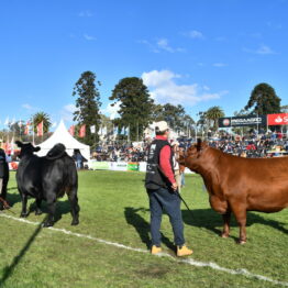 Dia 5 - Expo Prado 2021 (121)