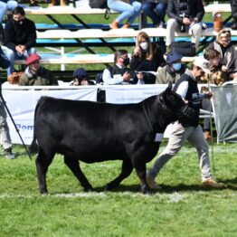 Dia 5 - Expo Prado 2021 (145)