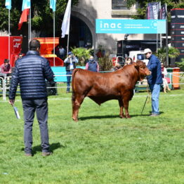 Dia 5 - Expo Prado 2021 (47)