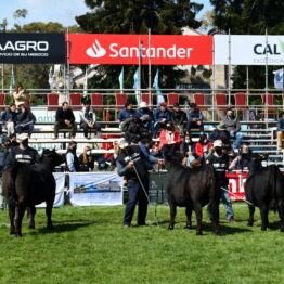 Dia 5 - Expo Prado 2021 (5)