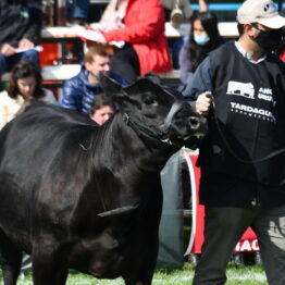 Dia 5 - Expo Prado 2021 (6)