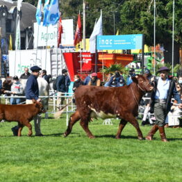 Dia 5 - Expo Prado 2021 (85)