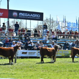 Dia 6 - Expo Prado 2021 (17)