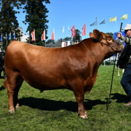 Dia 6 - Expo Prado 2021 (30)