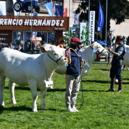 Dia 6 - Expo Prado 2021 (68)