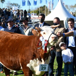 Dia 6 - Expo Prado 2021 (86)