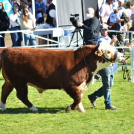 Dia 7 - Expo Prado 2021 (105)