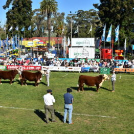 Dia 7 - Expo Prado 2021 (108)