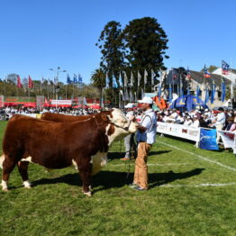 Dia 7 - Expo Prado 2021 (120)