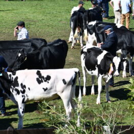 Dia 7 - Expo Prado 2021 (20)