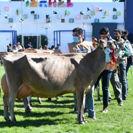 Dia 7 - Expo Prado 2021 (26)