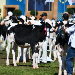 Dia 7 - Expo Prado 2021 (4)