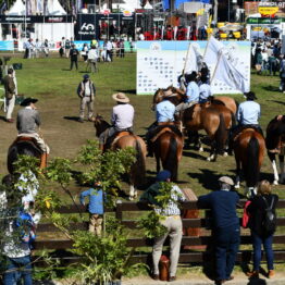 Dia 8 - Expo Prado 2021 (106)