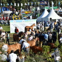 Dia 8 - Expo Prado 2021 (132)