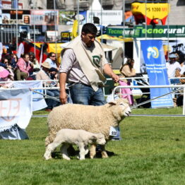 Dia 8 - Expo Prado 2021 (17)