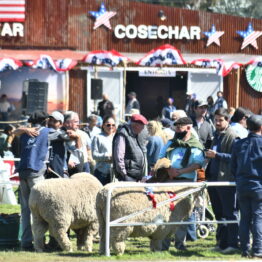 Dia 8 - Expo Prado 2021 (33)