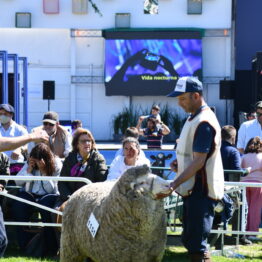 Dia 8 - Expo Prado 2021 (42)