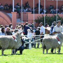 Dia 8 - Expo Prado 2021 (57)