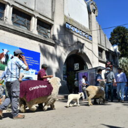 Dia 8 - Expo Prado 2021 (85)