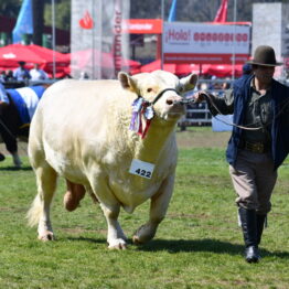 Dia 9 - Expo Prado 2021 (101)