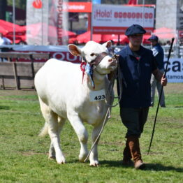 Dia 9 - Expo Prado 2021 (103)