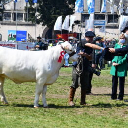 Dia 9 - Expo Prado 2021 (104)