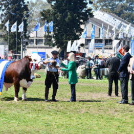 Dia 9 - Expo Prado 2021 (105)