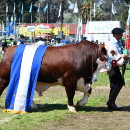 Dia 9 - Expo Prado 2021 (106)