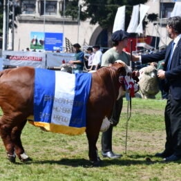 Dia 9 - Expo Prado 2021 (107)