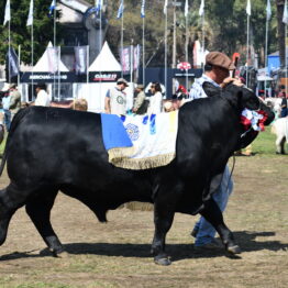 Dia 9 - Expo Prado 2021 (109)