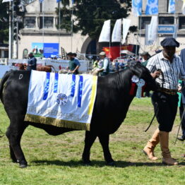 Dia 9 - Expo Prado 2021 (111)