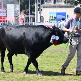 Dia 9 - Expo Prado 2021 (112)