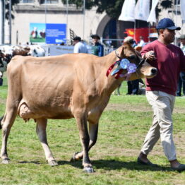 Dia 9 - Expo Prado 2021 (128)