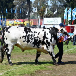 Dia 9 - Expo Prado 2021 (129)